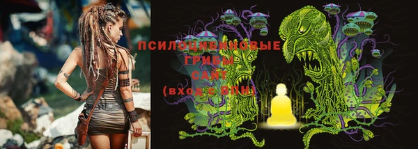 спайс Куйбышев