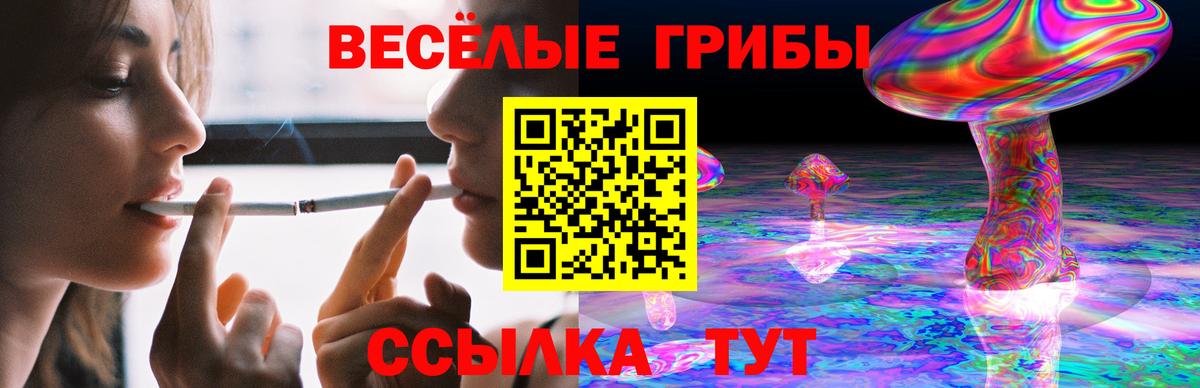 Псилоцибиновые грибы Cubensis  Вход с VPN  Тутаев  Псилоцибиновые грибы Magic Shrooms 
